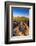 Petroglyphs on Signal Hill, Saguaro National Park, Tucson, Arizona, Usa-Russ Bishop-Framed Photographic Print