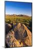 Petroglyphs on Signal Hill, Saguaro National Park, Tucson, Arizona, Usa-Russ Bishop-Mounted Photographic Print