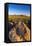 Petroglyphs on Signal Hill, Saguaro National Park, Tucson, Arizona, Usa-Russ Bishop-Framed Premier Image Canvas