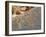 Petroglyphs or Rock Engravings, Twyfelfontein, UNESCO World Heritage Site, Damaraland, Namibia-Nico Tondini-Framed Photographic Print