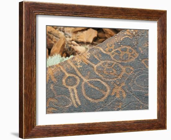 Petroglyphs or Rock Engravings, Twyfelfontein, UNESCO World Heritage Site, Damaraland, Namibia-Nico Tondini-Framed Photographic Print