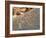 Petroglyphs or Rock Engravings, Twyfelfontein, UNESCO World Heritage Site, Damaraland, Namibia-Nico Tondini-Framed Photographic Print