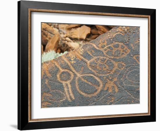 Petroglyphs or Rock Engravings, Twyfelfontein, UNESCO World Heritage Site, Damaraland, Namibia-Nico Tondini-Framed Photographic Print