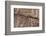 Petroglyphs, Parowan Gap, Iron County, Utah, United States of America, North America-Richard Cummins-Framed Photographic Print