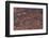 Petroglyphs, Petroglyph Canyon, Valley of Fire State Park, Nevada, USA-Michel Hersen-Framed Photographic Print