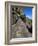 Petroglyphs, Santa Fe County, New Mexico, USA-Michael Snell-Framed Photographic Print