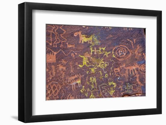 Petroglyphs, V Bar V Heritage Site, Arizona, USA-Jamie & Judy Wild-Framed Photographic Print