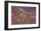 Petroglyphs, V Bar V Heritage Site, Arizona, USA-Jamie & Judy Wild-Framed Photographic Print