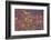 Petroglyphs, V Bar V Heritage Site, Arizona, USA-Jamie & Judy Wild-Framed Photographic Print