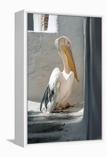 Petros the Pelican, Chora, Mykonos, Greece-David Noyes-Framed Premier Image Canvas