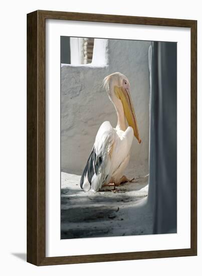 Petros the Pelican, Chora, Mykonos, Greece-David Noyes-Framed Premium Photographic Print