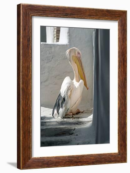 Petros the Pelican, Chora, Mykonos, Greece-David Noyes-Framed Premium Photographic Print