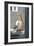 Petros the Pelican, Chora, Mykonos, Greece-David Noyes-Framed Premium Photographic Print