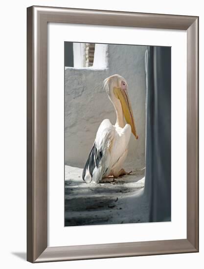 Petros the Pelican, Chora, Mykonos, Greece-David Noyes-Framed Photographic Print