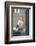 Petros the Pelican, Chora, Mykonos, Greece-David Noyes-Framed Photographic Print