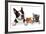 Pets Sign-digitalista-Framed Art Print