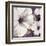 Petunia Array 1-Jurgen Gottschlag-Framed Art Print