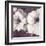 Petunia Array 2-Jurgen Gottschlag-Framed Art Print