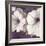 Petunia Array 2-Jurgen Gottschlag-Framed Art Print