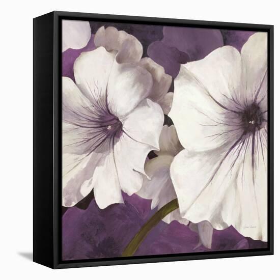 Petunia Array 2-Jurgen Gottschlag-Framed Stretched Canvas