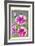 Petunia Nain Compact Rose Du Ciel-null-Framed Art Print