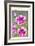 Petunia Nain Compact Rose Du Ciel-null-Framed Art Print