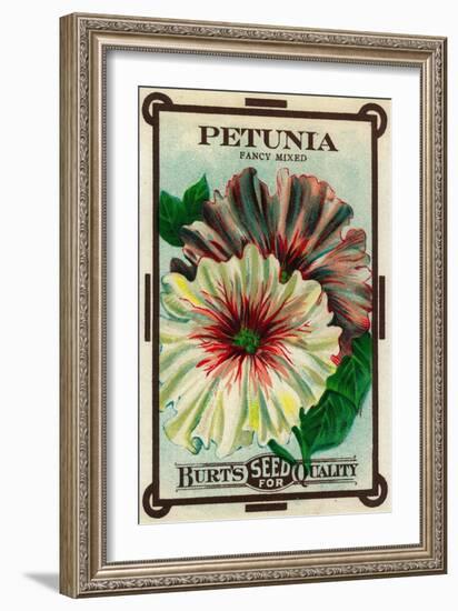 Petunia Seed Packet-Lantern Press-Framed Art Print