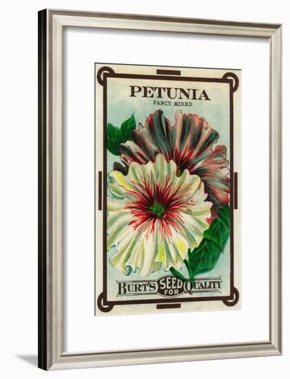 Petunia Seed Packet-Lantern Press-Framed Art Print