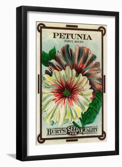 Petunia Seed Packet-Lantern Press-Framed Art Print