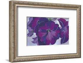 Petunias, c.1925-Georgia O'Keeffe-Framed Art Print