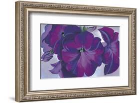 Petunias, c.1925-Georgia O'Keeffe-Framed Art Print