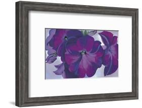 Petunias, c.1925-Georgia O'Keeffe-Framed Art Print