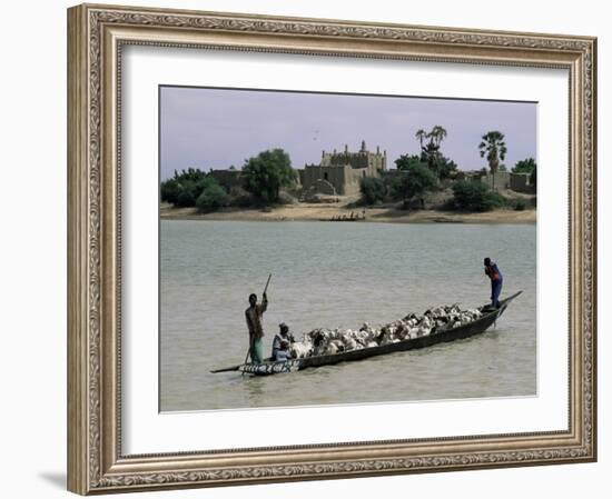 Peul Herder and Cattle Crossing the River Bani During Transhumance, Sofara, Mali, Africa-Bruno Morandi-Framed Photographic Print