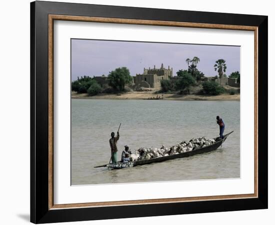 Peul Herder and Cattle Crossing the River Bani During Transhumance, Sofara, Mali, Africa-Bruno Morandi-Framed Photographic Print