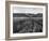 Pewsey White Horse-Fred Musto-Framed Photographic Print