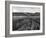 Pewsey White Horse-Fred Musto-Framed Photographic Print