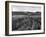 Pewsey White Horse-Fred Musto-Framed Photographic Print