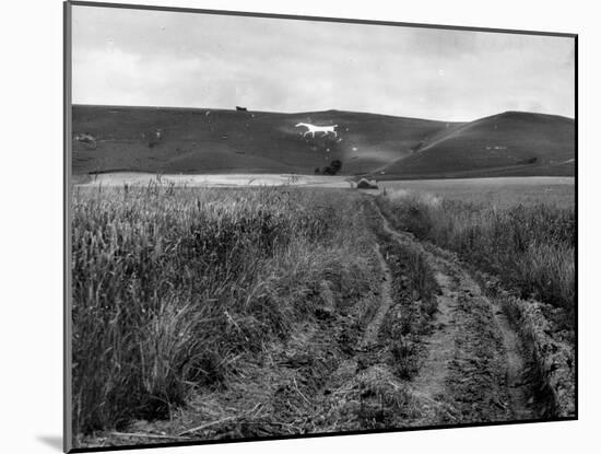 Pewsey White Horse-Fred Musto-Mounted Photographic Print