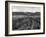 Pewsey White Horse-Fred Musto-Framed Photographic Print