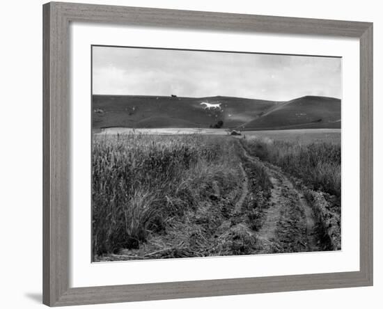 Pewsey White Horse-Fred Musto-Framed Photographic Print