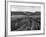 Pewsey White Horse-Fred Musto-Framed Photographic Print