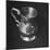 Pewter or Silver Mug from the American Colonial Period-null-Mounted Photographic Print