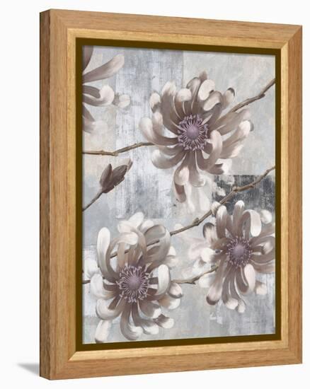 Pewter Petals 1-Jurgen Gottschlag-Framed Stretched Canvas