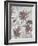 Pewter Petals 1-Jurgen Gottschlag-Framed Art Print