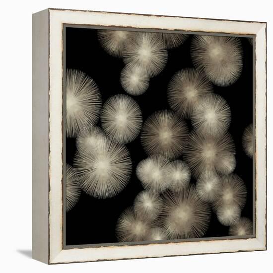 Pewter Sunbursts-Abby Young-Framed Stretched Canvas