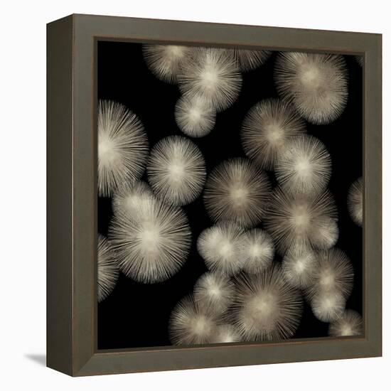 Pewter Sunbursts-Abby Young-Framed Stretched Canvas