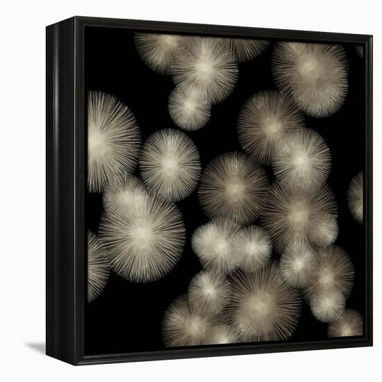 Pewter Sunbursts-Abby Young-Framed Stretched Canvas