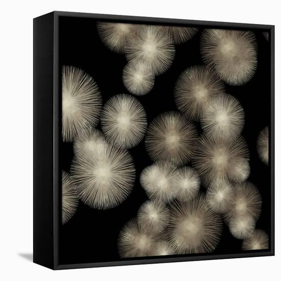 Pewter Sunbursts-Abby Young-Framed Stretched Canvas