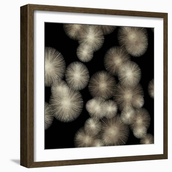 Pewter Sunbursts-Abby Young-Framed Art Print