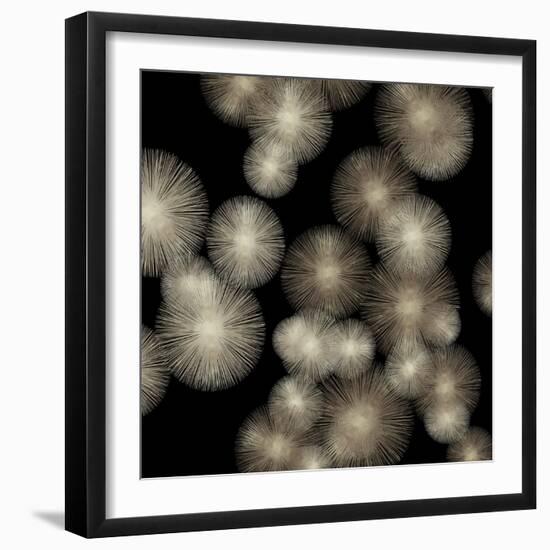 Pewter Sunbursts-Abby Young-Framed Art Print